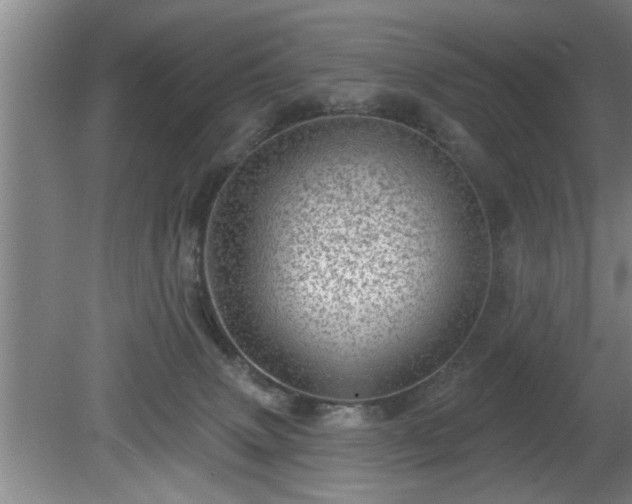 X0000080720083200612221238