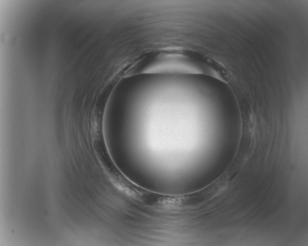 X0000080720084200612221238