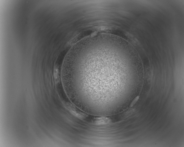 X0000080720087200612221238