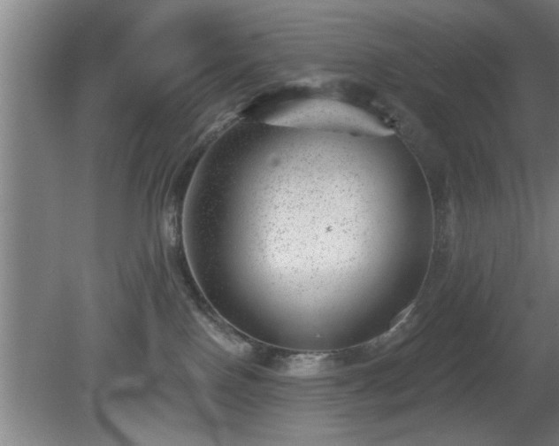 X0000080720090200612221238