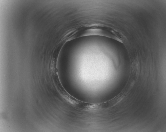 X0000080720092200612221238