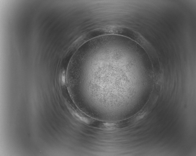 X0000080720095200612221238