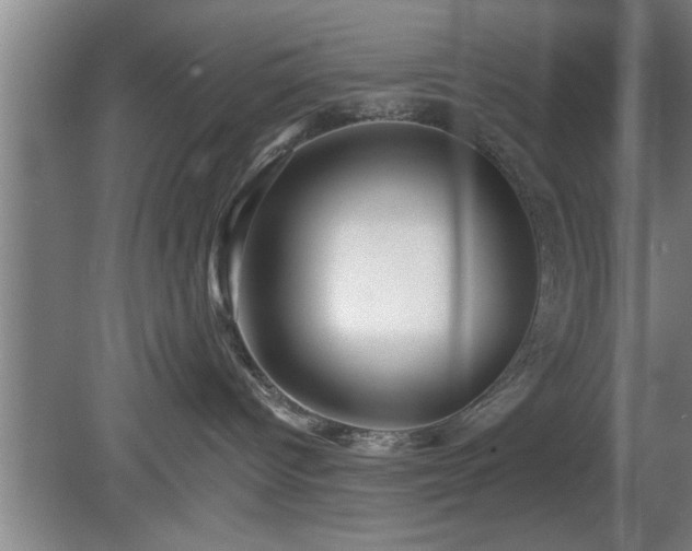 X0000080720096200612221238