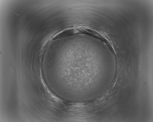 X0000080720097200612221237