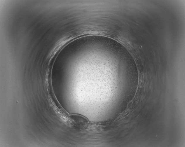 X0000080720098200612221237