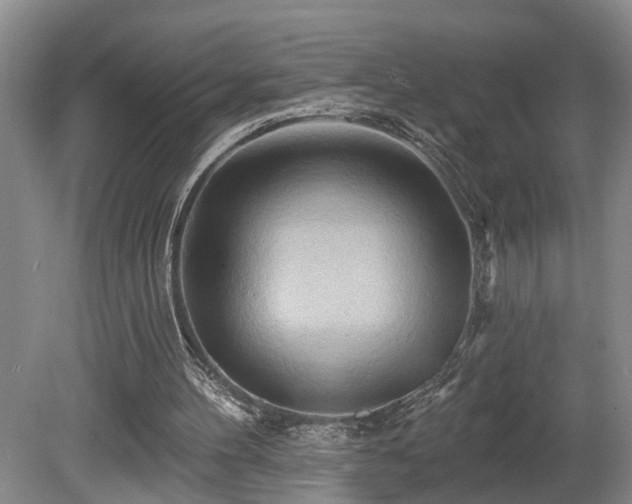 X0000080720100200612221237