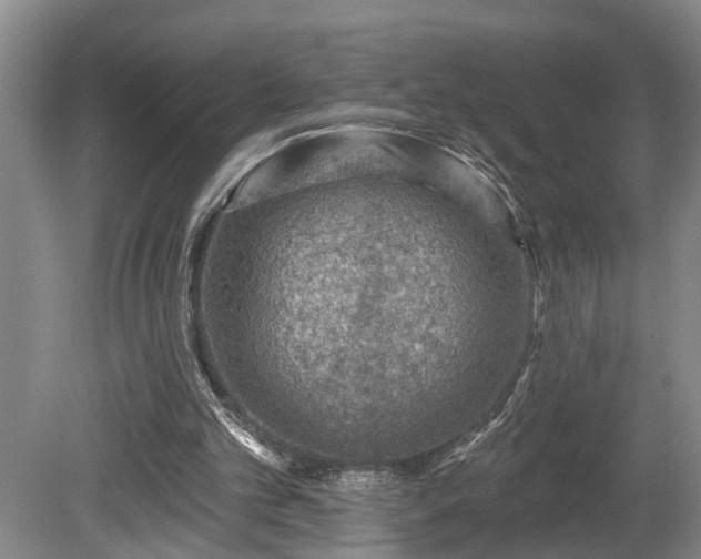 X0000080720101200612221237