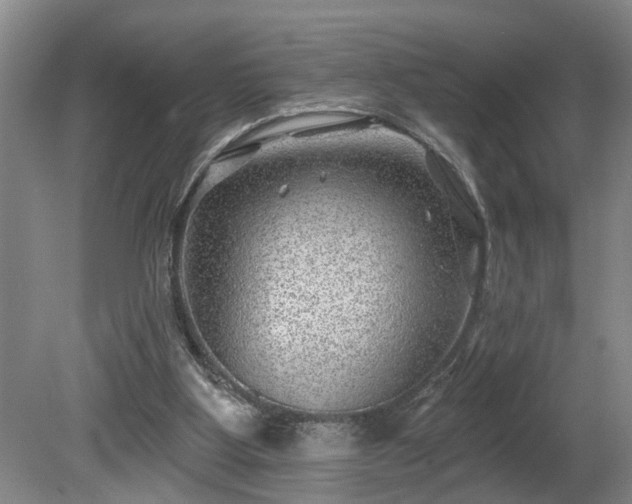 X0000080720107200612221237