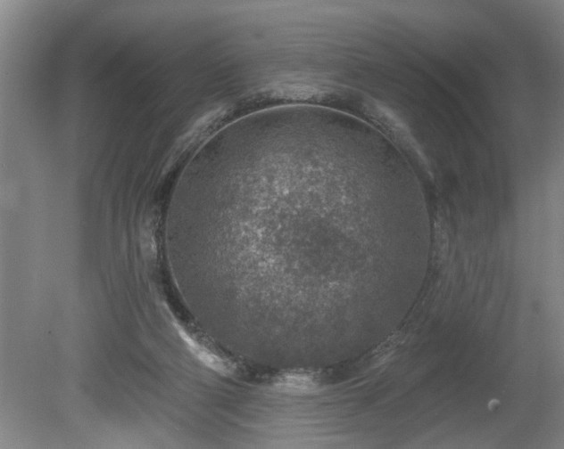 X0000080720114200612221237