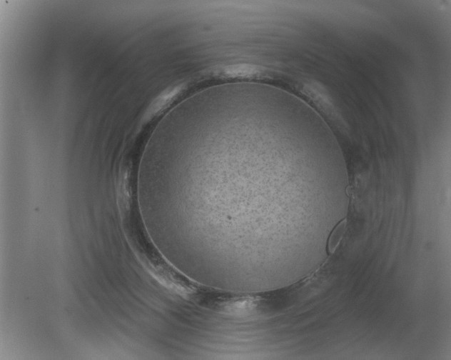 X0000080720116200612221237