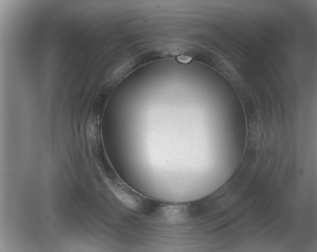 X0000080720126200612221237