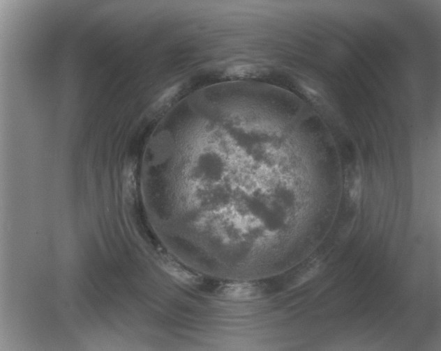 X0000080720127200612221237