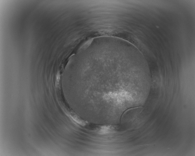 X0000080720130200612221237