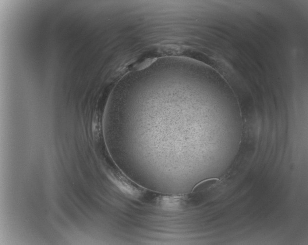 X0000080720134200612221237