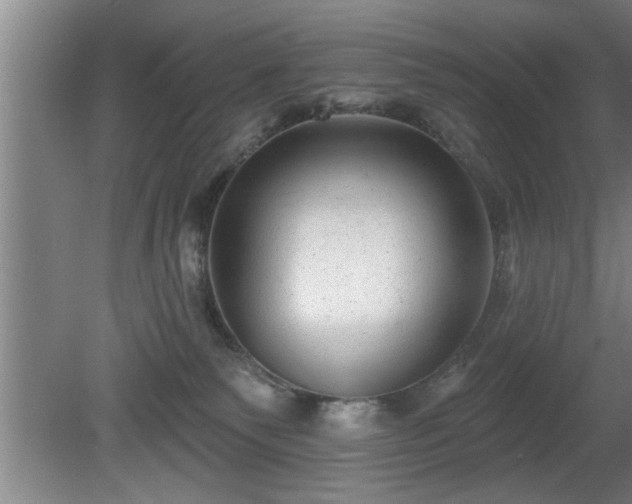 X0000080720135200612221237