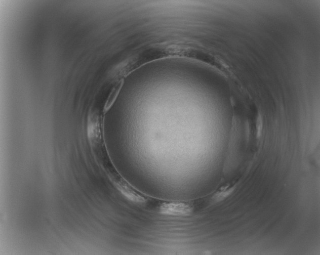 X0000080720137200612221237