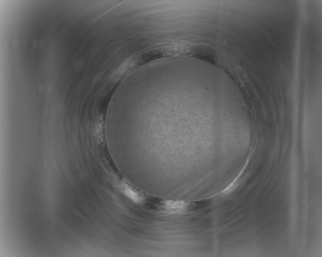 X0000080720144200612221237