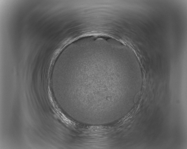 X0000080720145200612221236