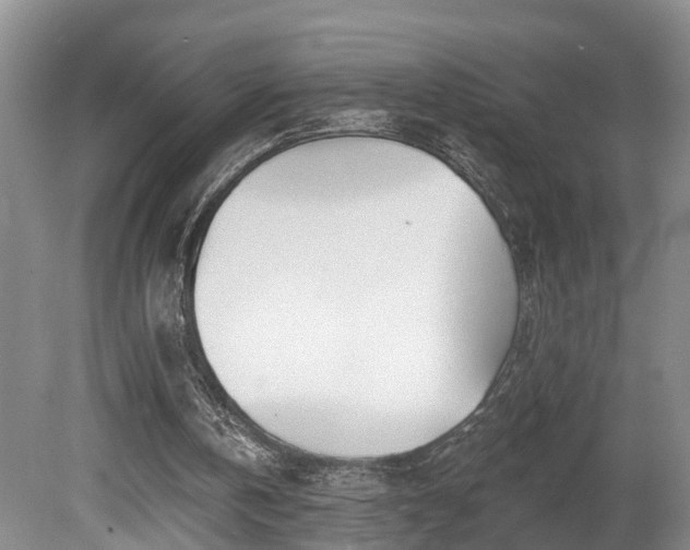 X0000080720146200612221236