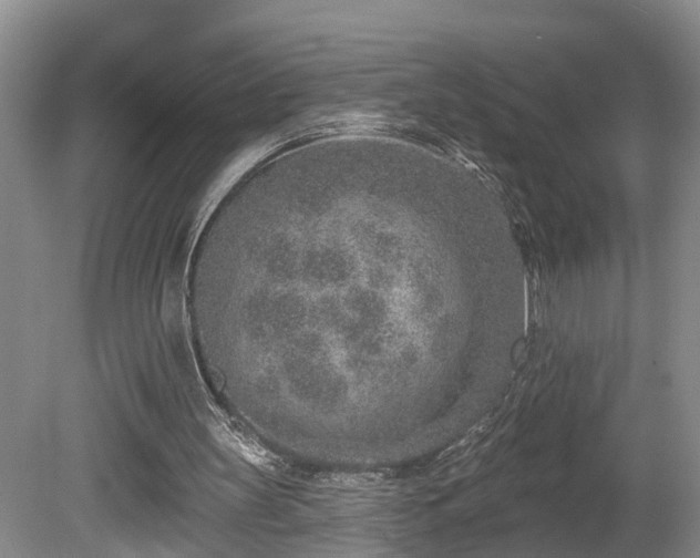 X0000080720147200612221236