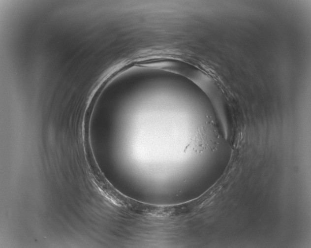 X0000080720148200612221236