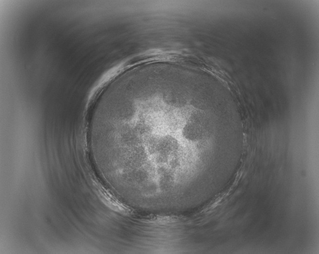 X0000080720149200612221236