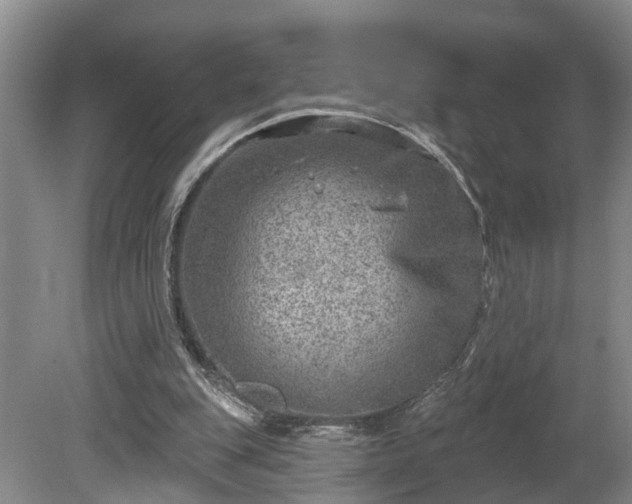 X0000080720151200612221236