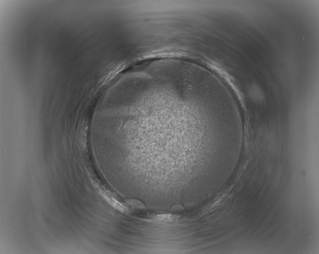 X0000080720153200612221236