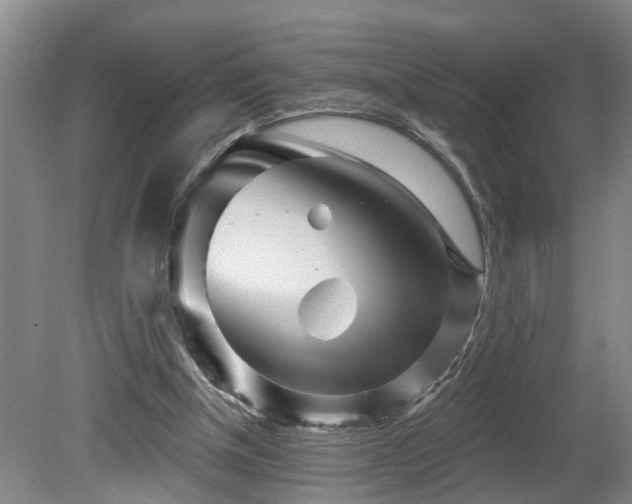 X0000080720154200612221236