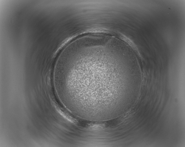 X0000080720155200612221236