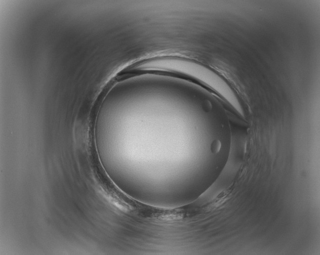 X0000080720156200612221236