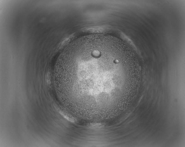 X0000080720161200612221236