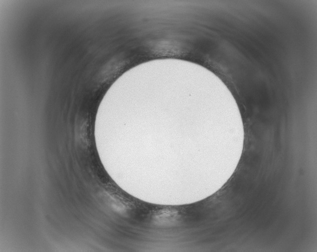 X0000080720162200612221236