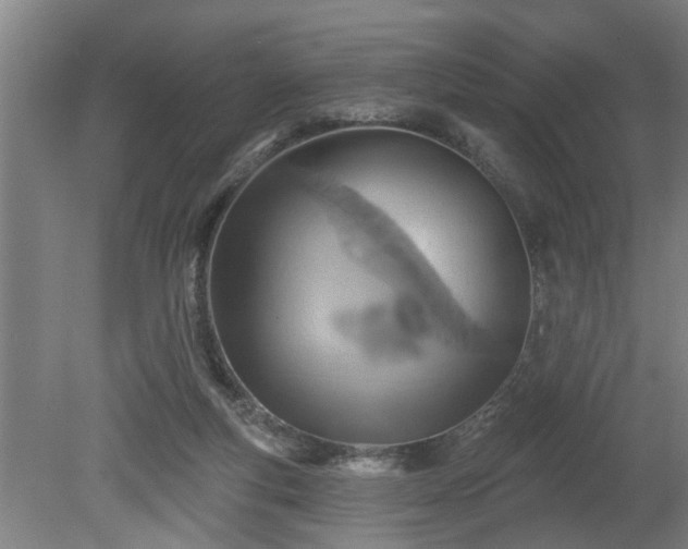 X0000080720163200612221236