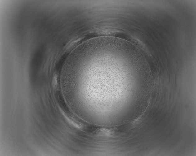 X0000080720166200612221236