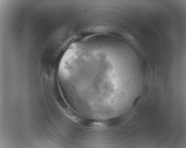 X0000080720167200612221236