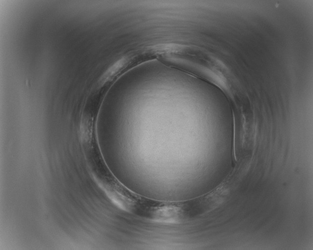 X0000080720168200612221236