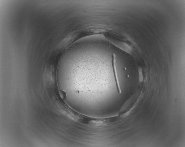 X0000080720170200612221236