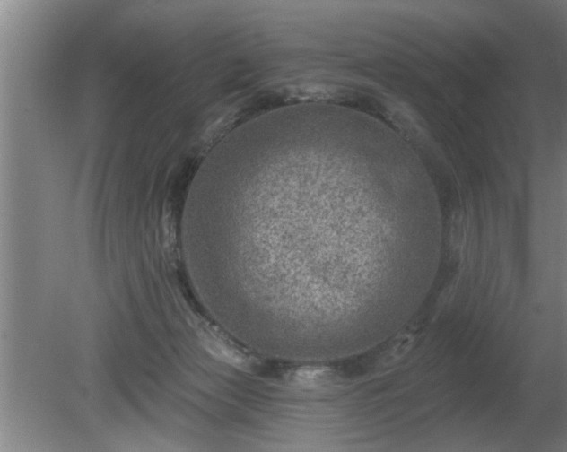 X0000080720173200612221236