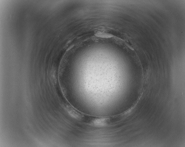 X0000080720178200612221236