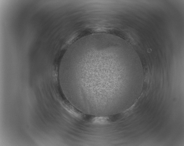 X0000080720179200612221236