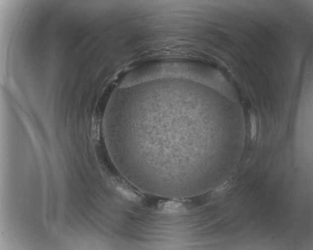 X0000080720180200612221236