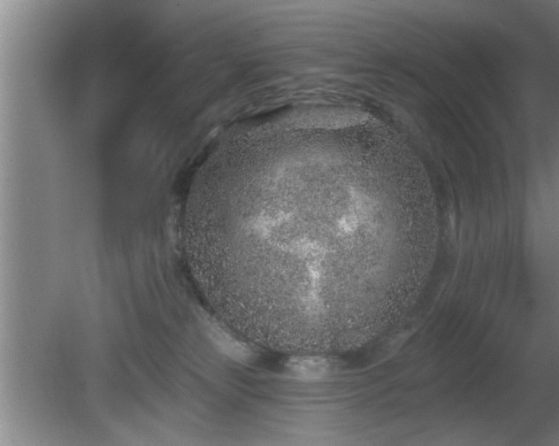 X0000080720181200612221236