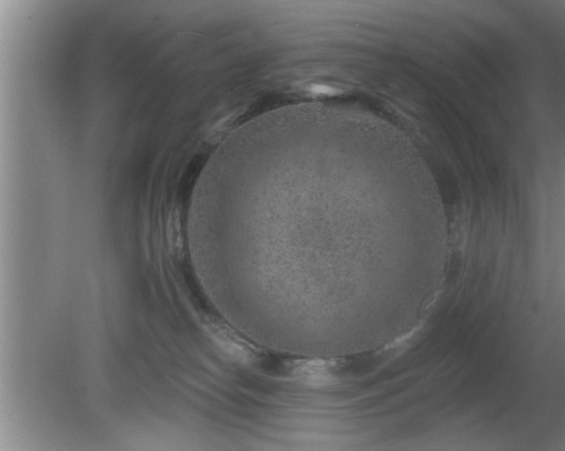 X0000080720182200612221236