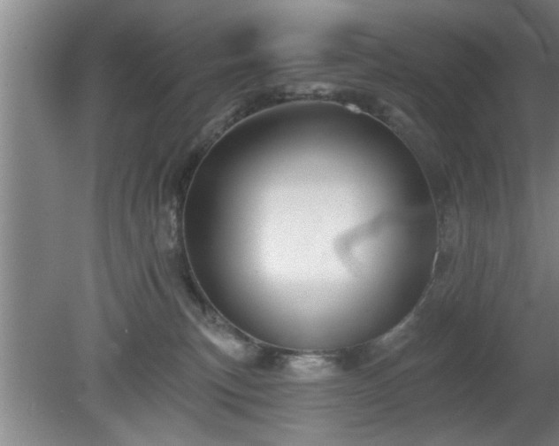 X0000080720183200612221236