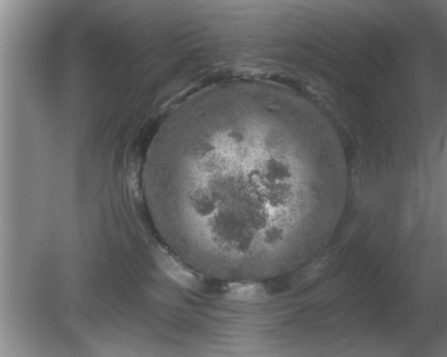 X0000080720185200612221236