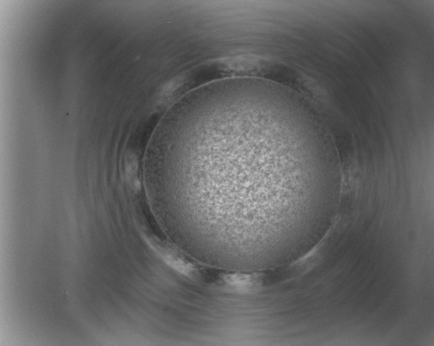 X0000080720187200612221236