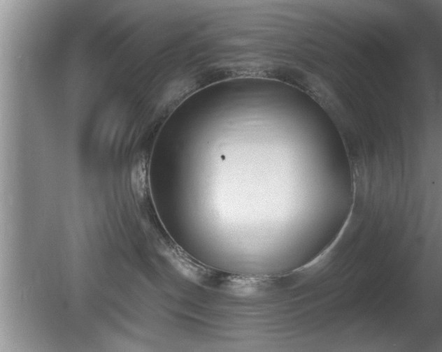 X0000080720190200612221236