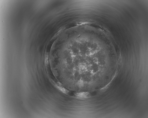 X0000080720191200612221237