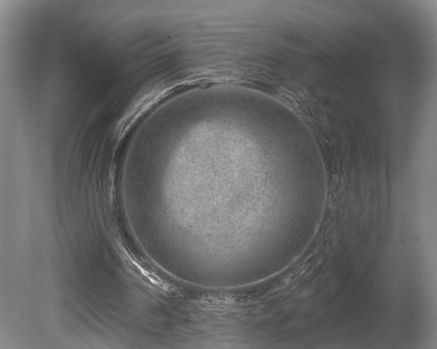 X0000080720194200612221236